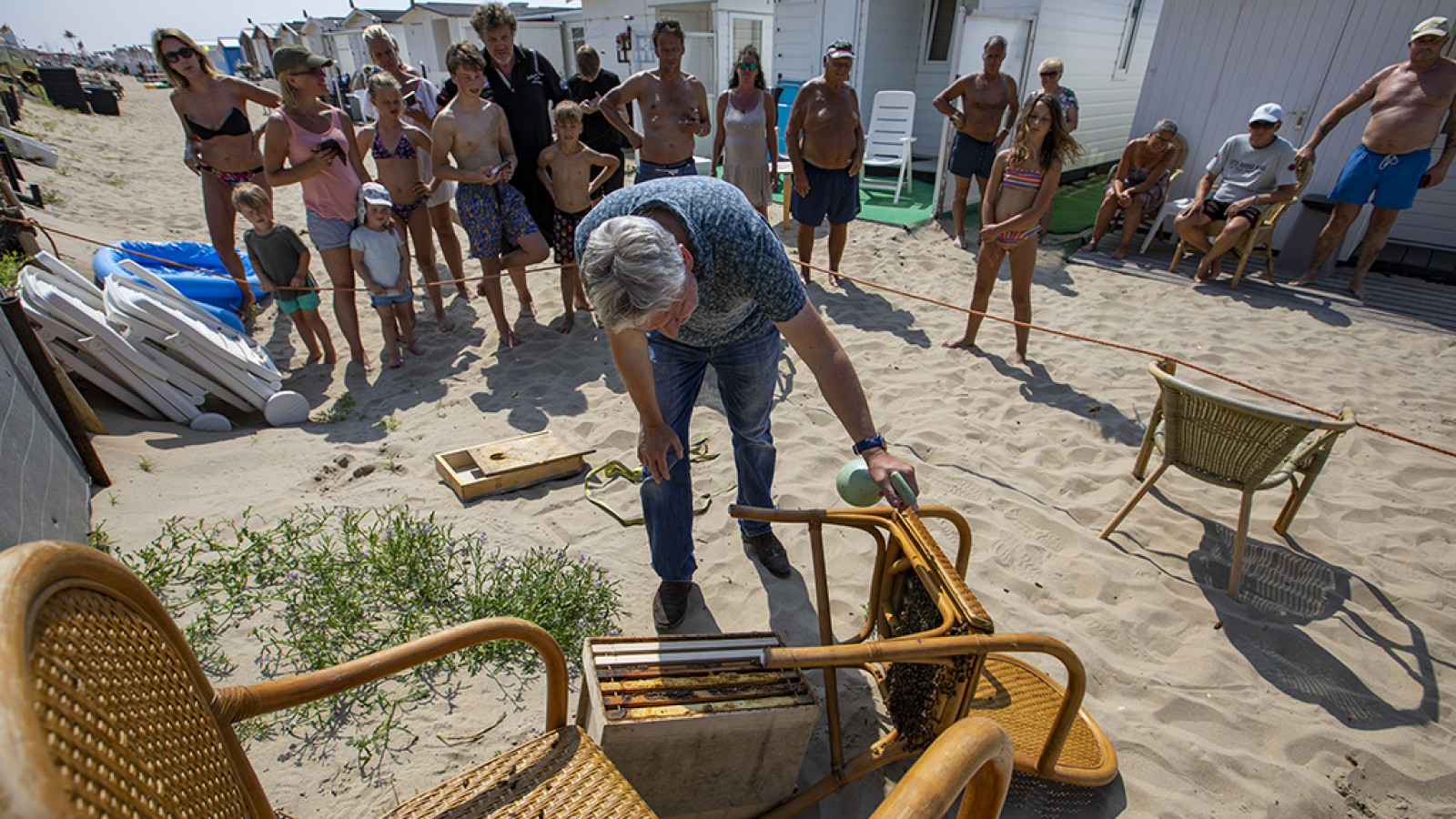 bijen strand