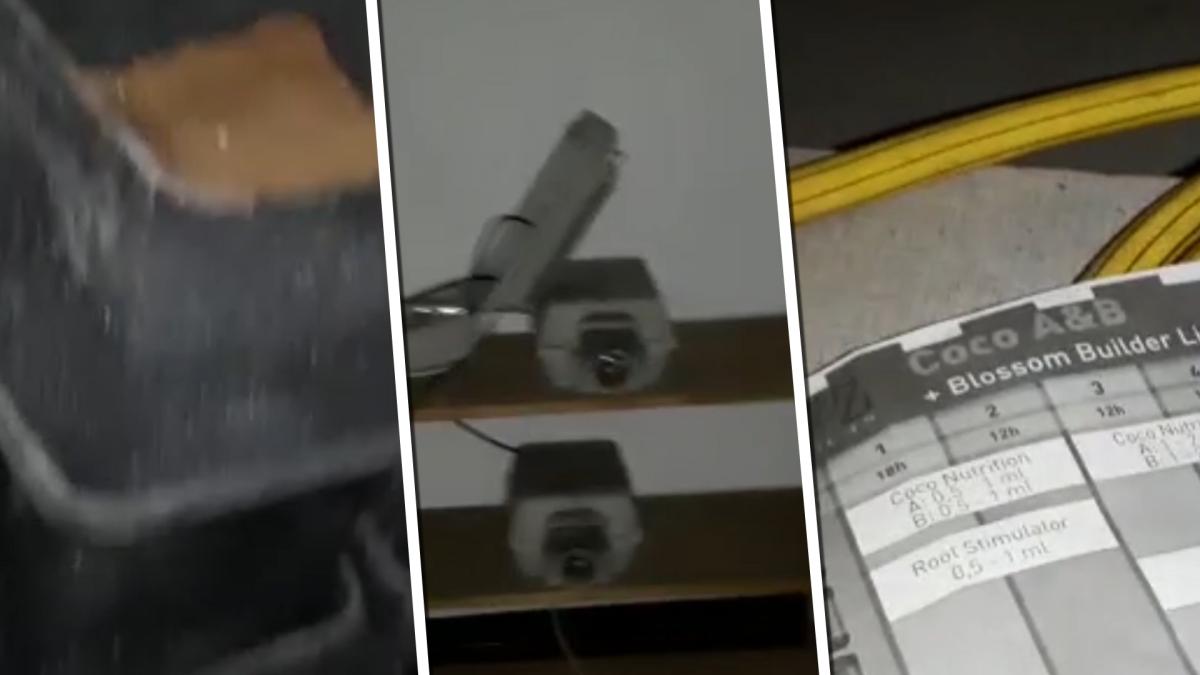 Wietbunker ontdekt in duingebied Overveen
