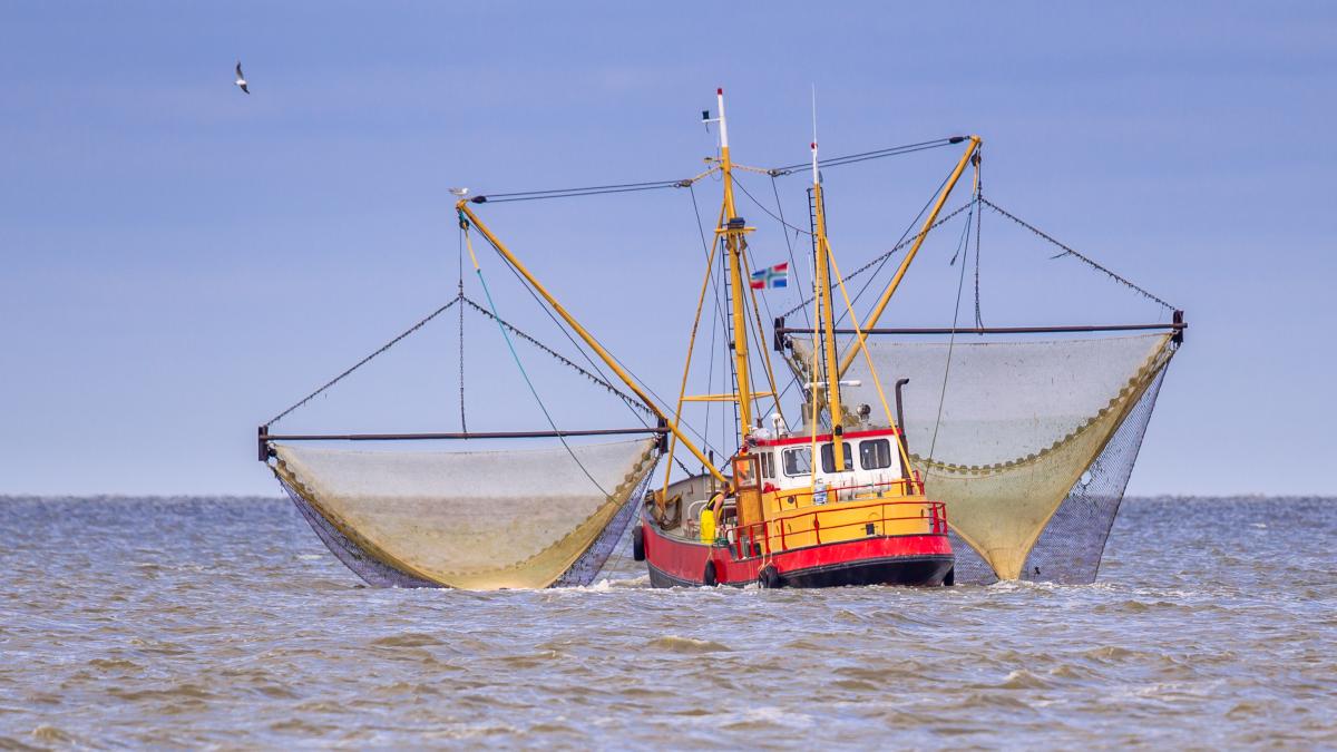 TERUGKIJKEN: Garnalenvissers en boeren demonstreren in haven van Den Oever