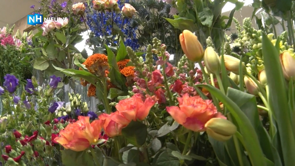 Bloemen