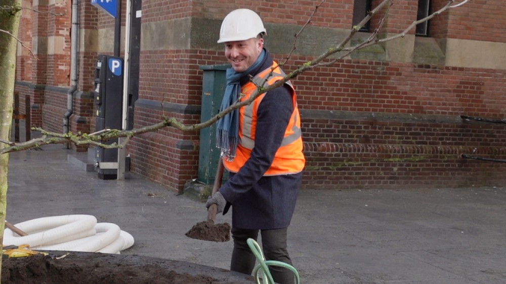 Wethouder Plant Eerste Boom Kerkplein Hiermee Is Het Plein Bijna Af