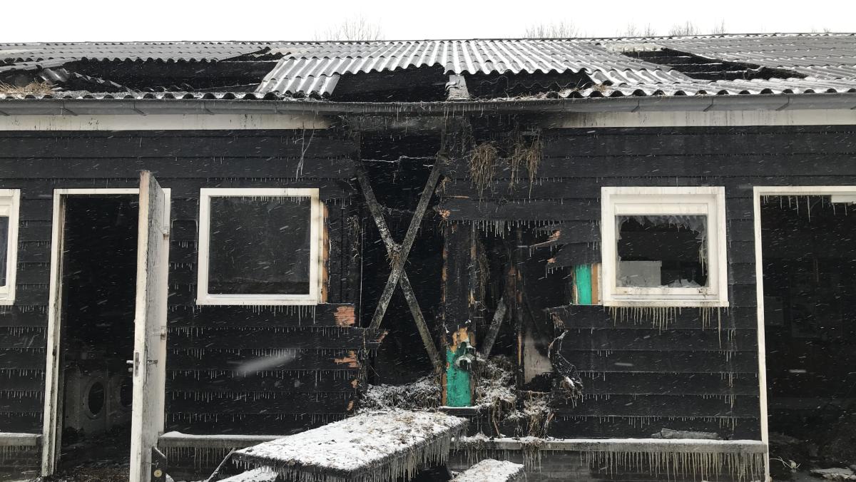 Rundveemuseum gedeeltelijk heropend na brand: 