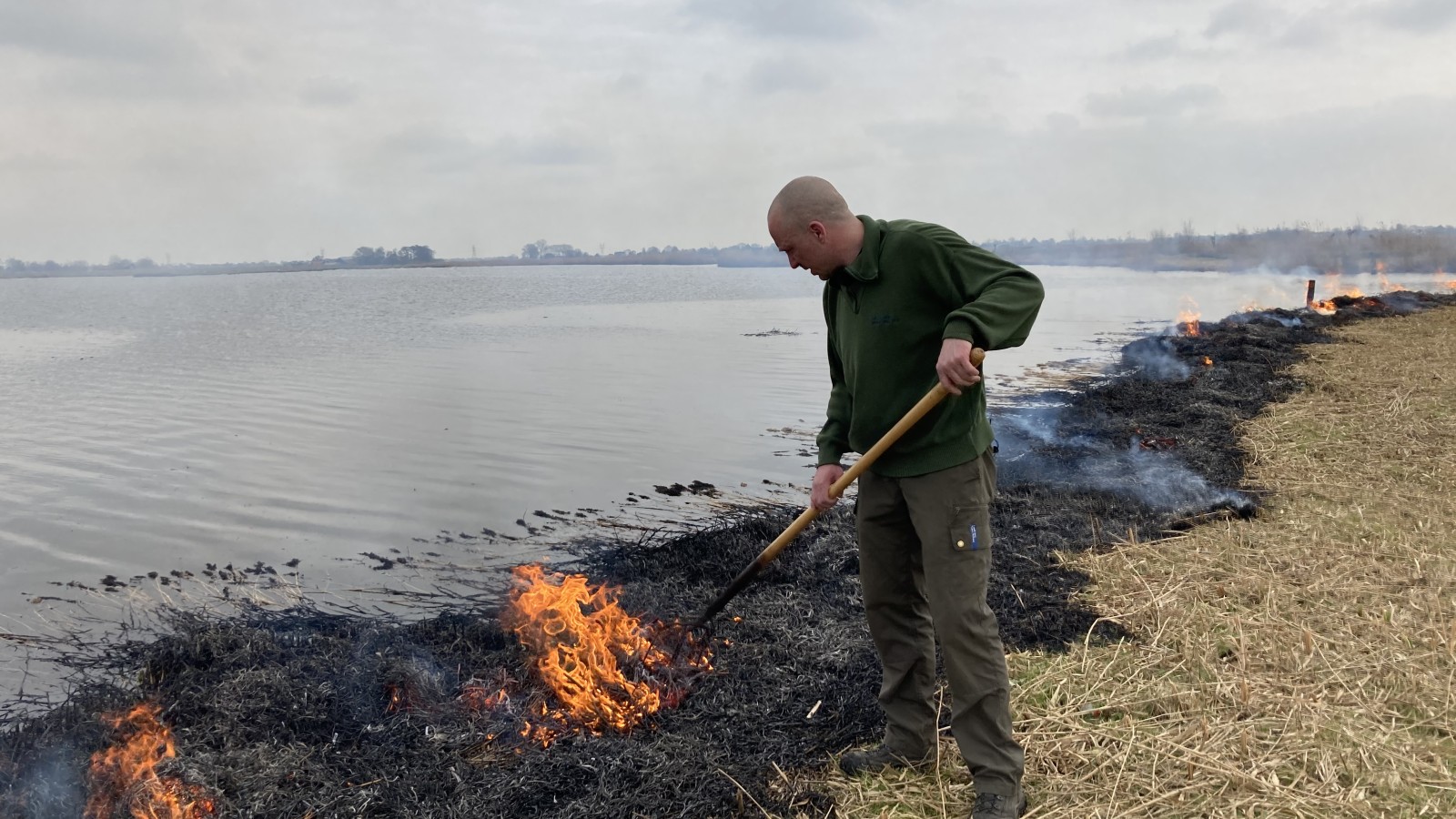 verkoudheid vragenlijst galop Rook in de polder: oud riet wordt afgebrand - NH Nieuws