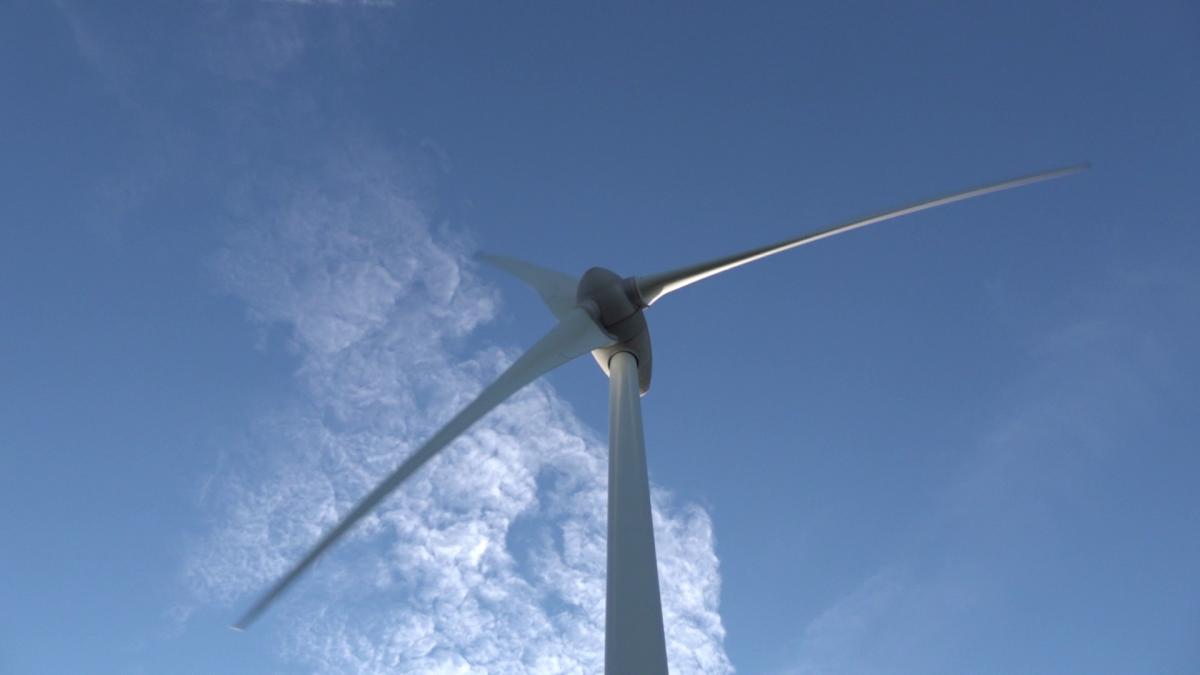 Geen draagvlak voor extra windmolens, college stelt uitbreiding windmolenpark uit