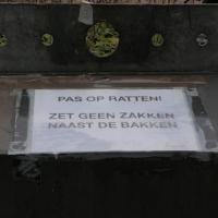 Kakkerlakken en ratten: bewoners Amsterdamse K-buurt helemaal klaar met ...