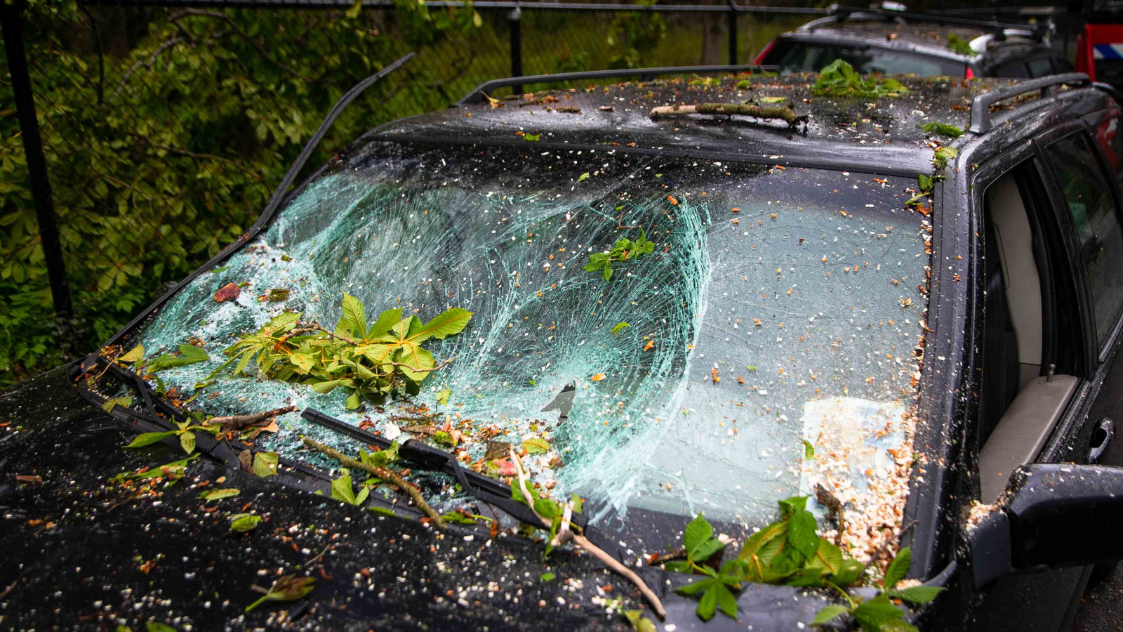 Auto's Bloemendaal bedolven onder omgevallen boom