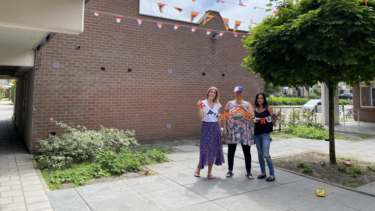 Vlaggetjesrel in Spaarndam: 