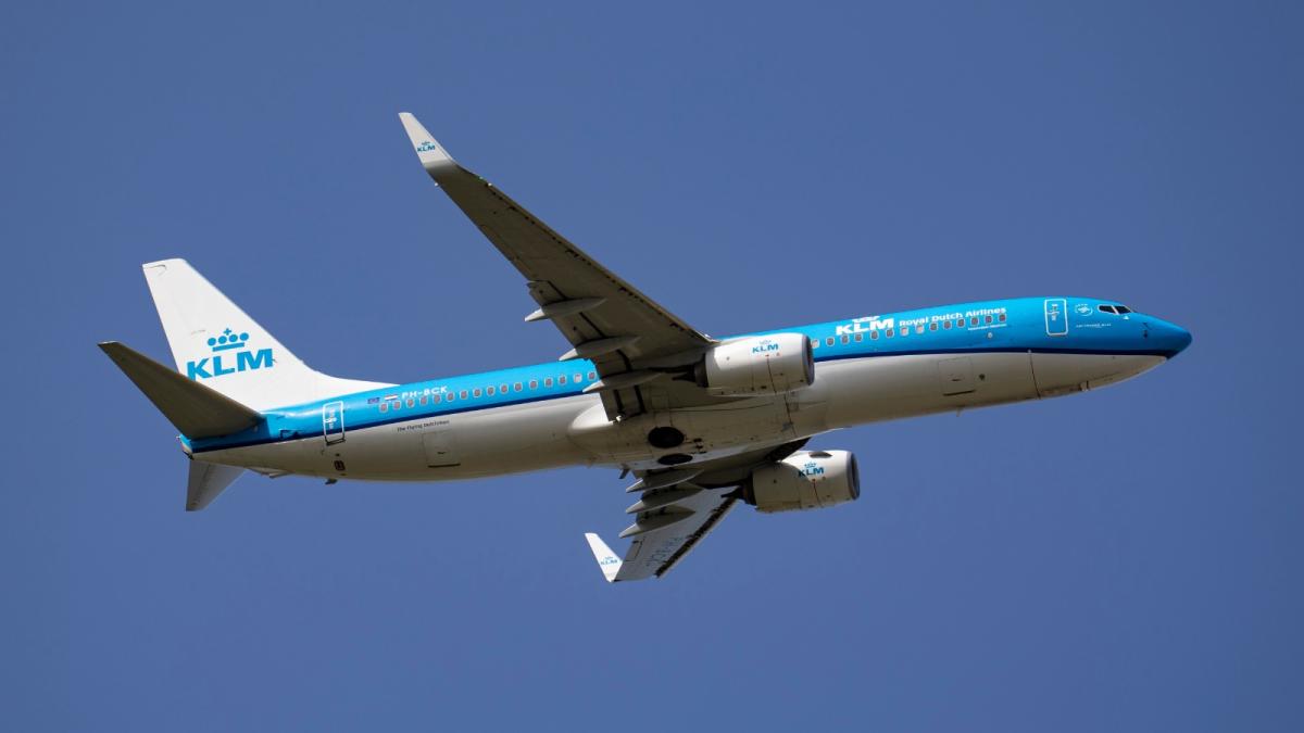 Mogelijk besmetting hantavirus bij Haarlemse KLM-stewardess, opgenomen in ziekenhuis