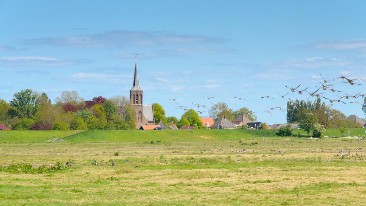 Meer reuring in het dorp door Stichting Schellinkhout
