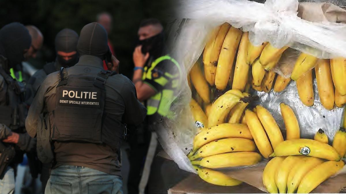 Vergisontvoering Cruquius lijkt gevolg onderschepping 1.899 kilo cocaïne in Antwerpen