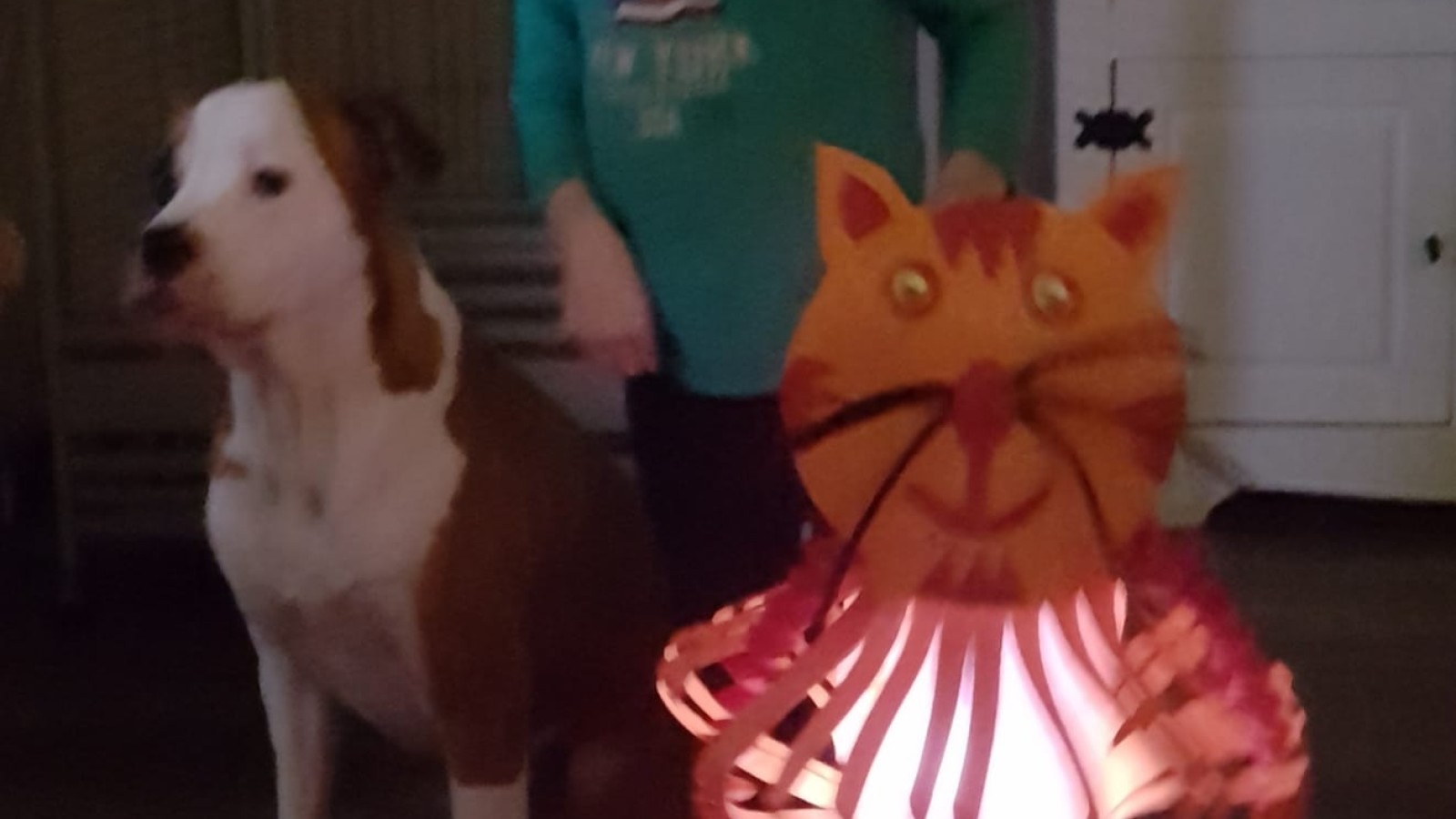 Lampionnen Sint Maarten
