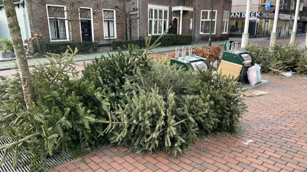 Kerstbomen aan de straat Hilversum 
