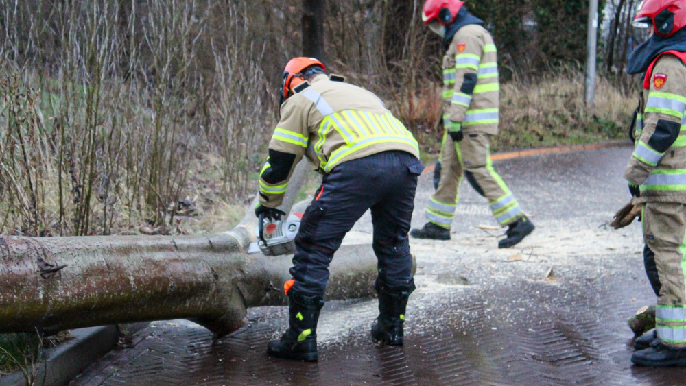 Brandweer verwijdert boom aan Bronsstraat in Naarden