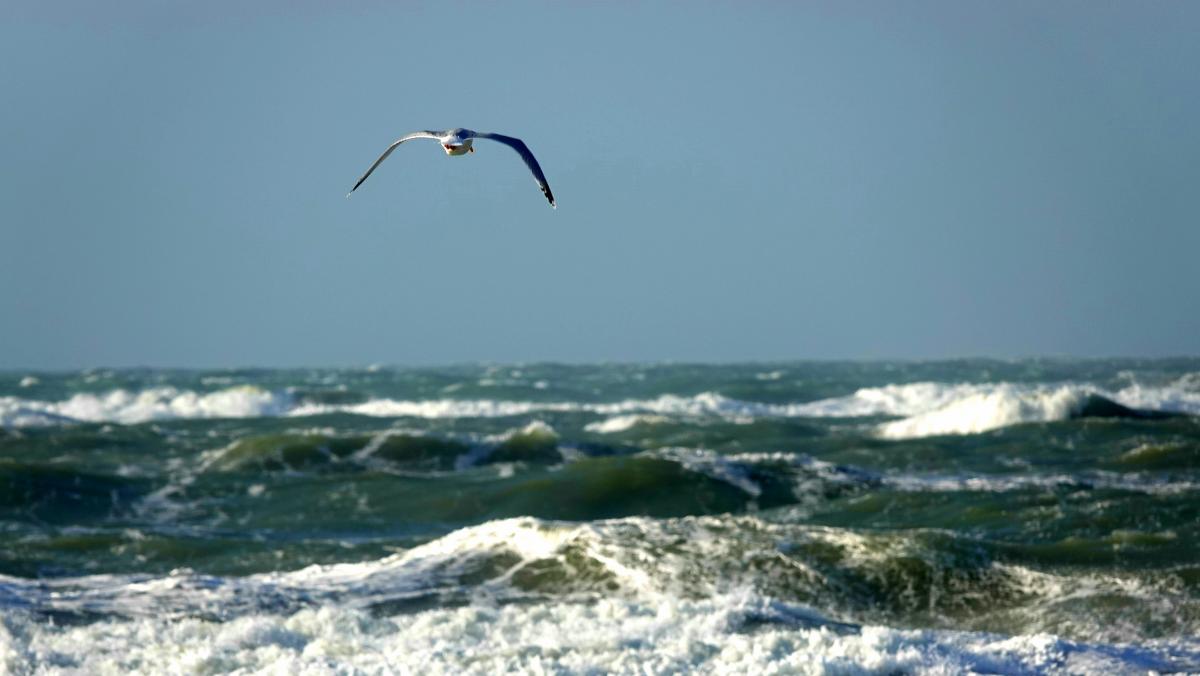 Ooit verdween dit Texelse dorp, nu krijgt een storm zijn naam