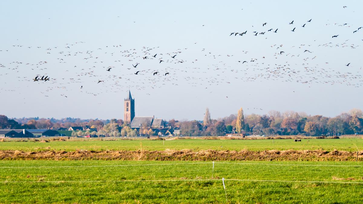Krijgt ieder Noord-Hollands dorpje straks een straatje erbij?