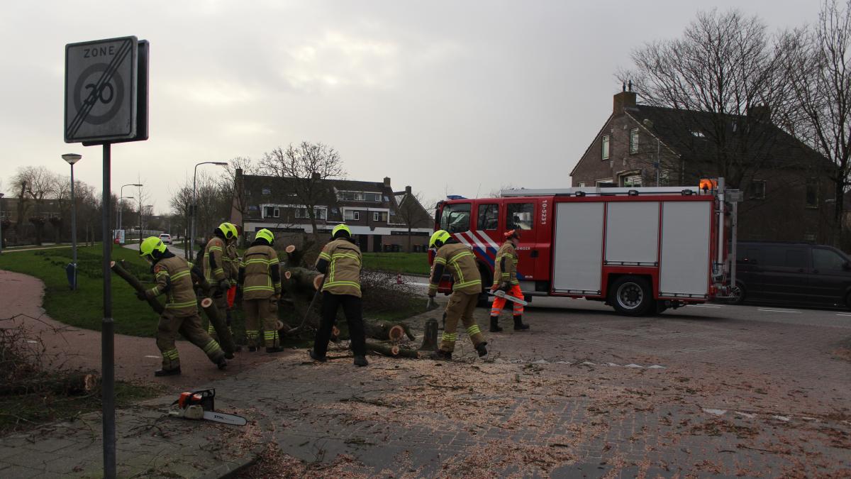 De ene na de andere boom bezwijkt door de stormachtige wind
