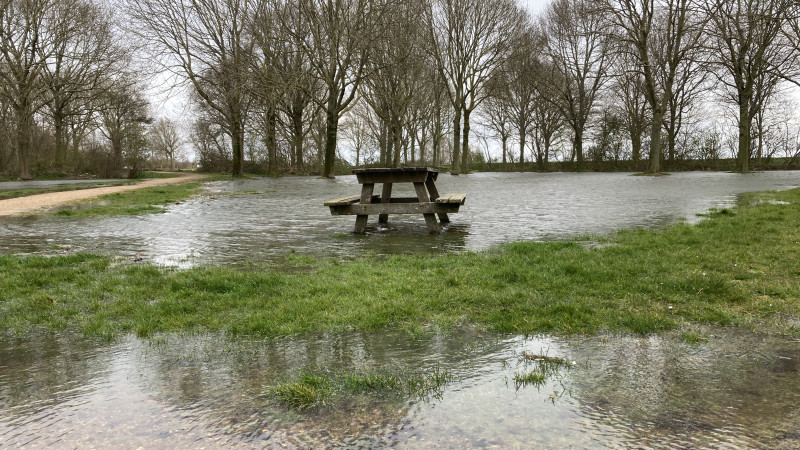 Het Nesbos staat onder water