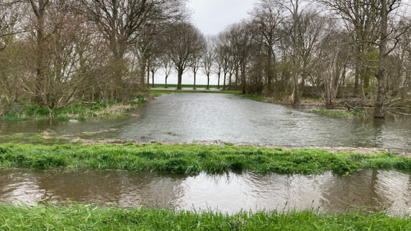 Het Nesbos staat onder water