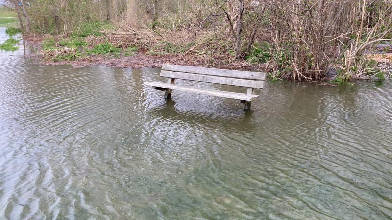 Het Nesbos staat onder water