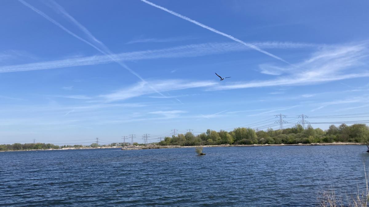 Windmolens bij Amsterdam-Noord opnieuw op losse schroeven: meerderheid vreest verkeersrisico's
