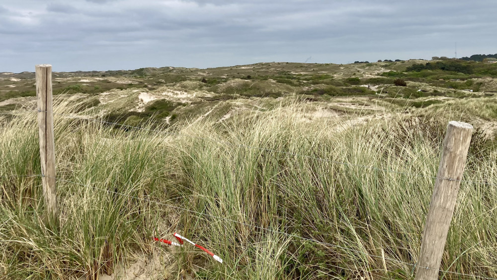 Hoger beroep Egmondse duinmoord ingetrokken: einde van spraakmakende strafzaak
