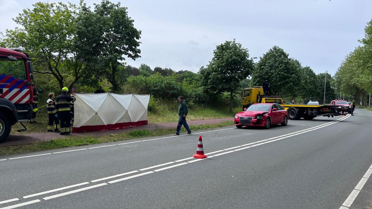 'Ontsnapt' paard doodgereden in Bentveld, automobilist en ruiter ongedeerd