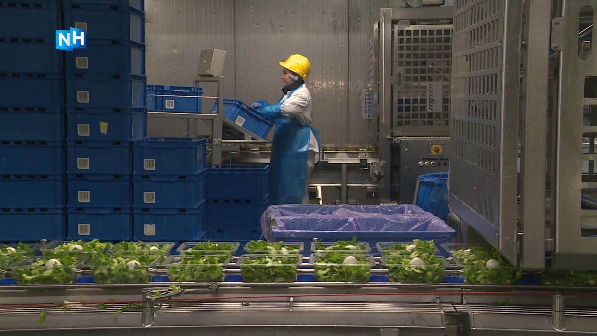 Ook groentesnijder Vezet in Warmenhuizen heeft last van de krapte op de arbeidsmarkt