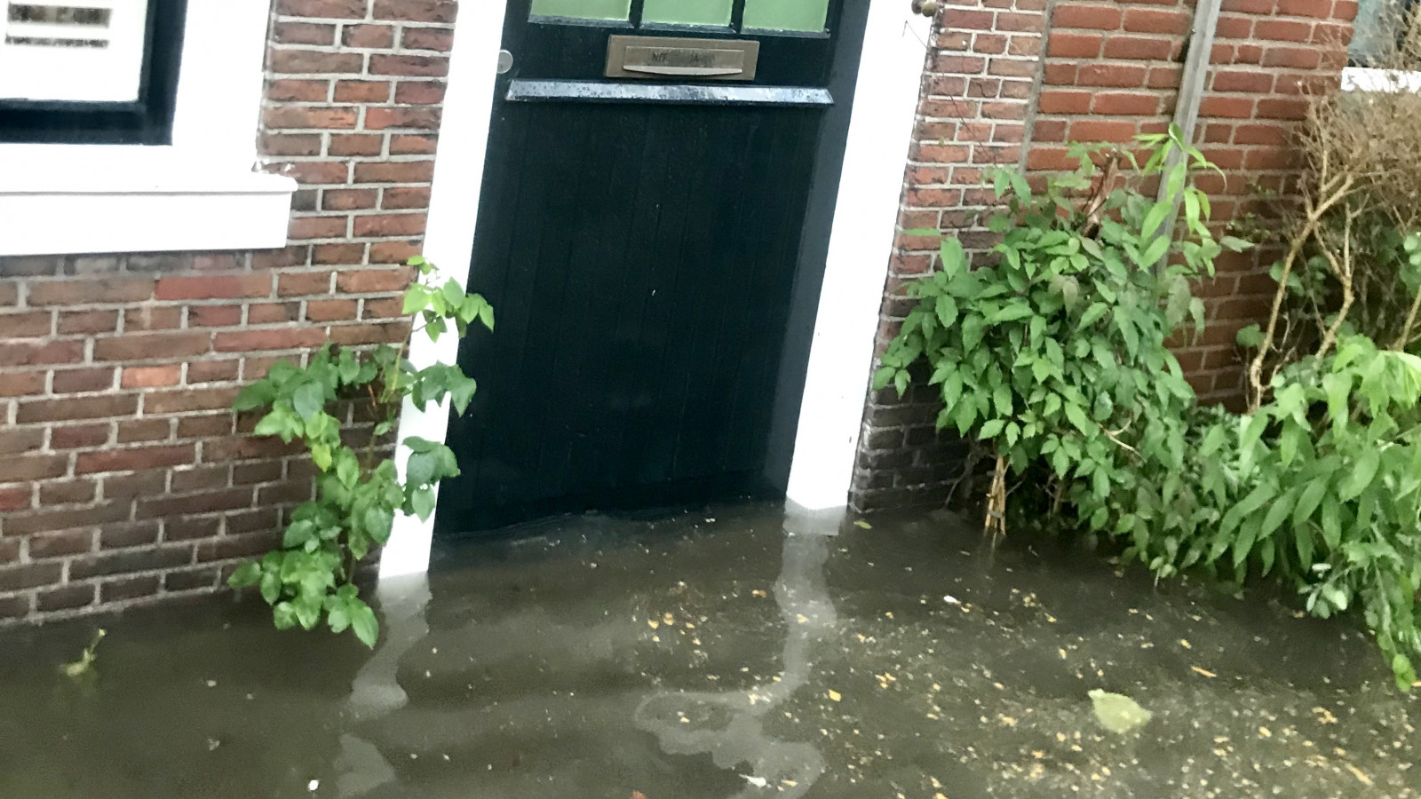 hoogwater Mariella Koningsweg Alkmaar / juni 2021
