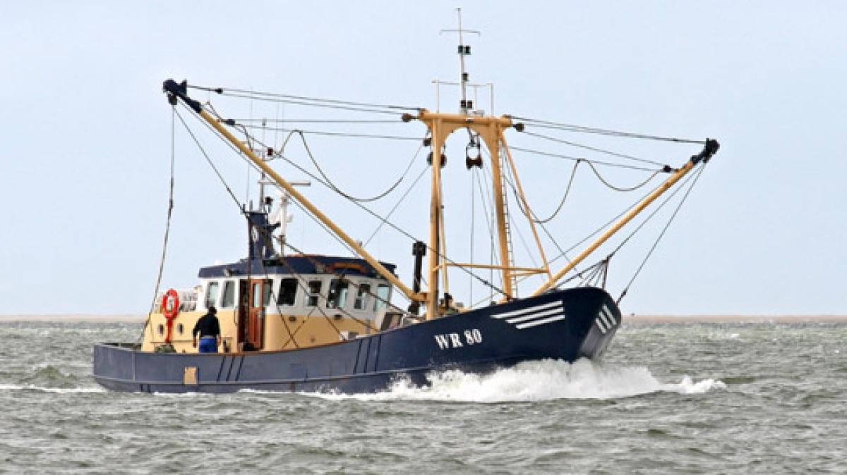Boze vissers en boeren straks samen in actie in haven van Den Oever
