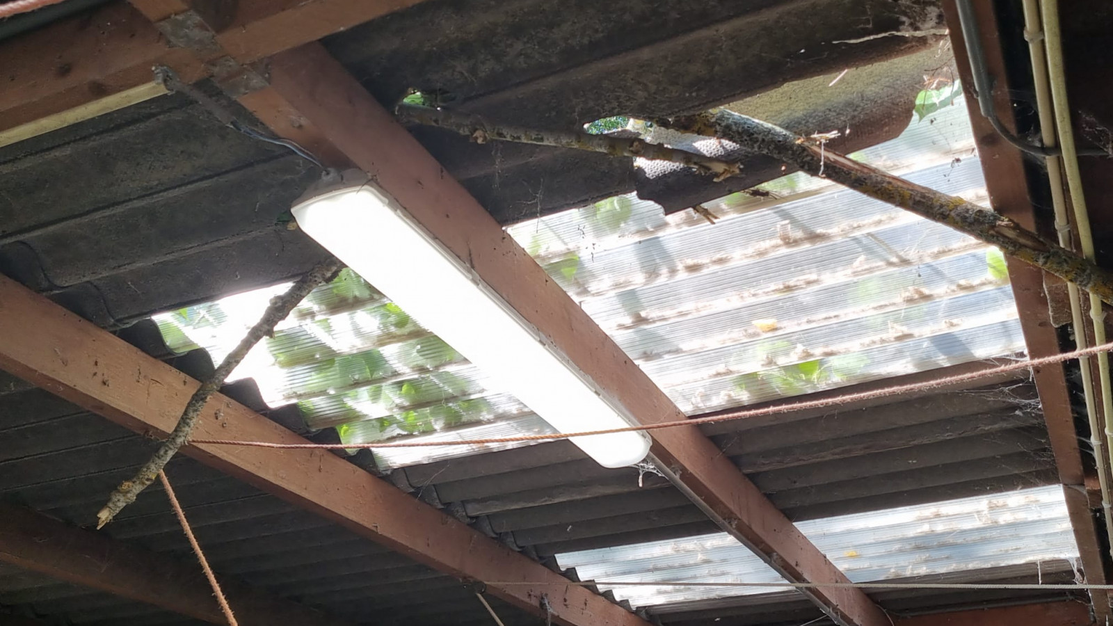 asbest vogelasiel De Paddestoel
