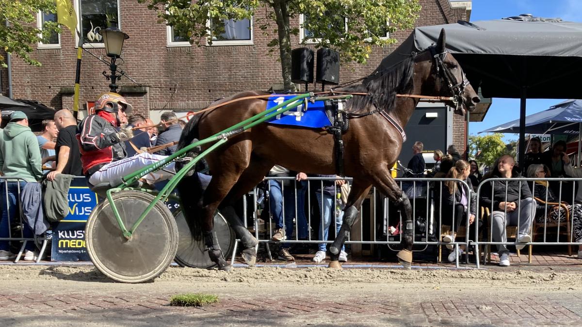 Van Pinkster 3 tot Spinvis tussen de koeien: dit is er te doen tijdens Pinksteren