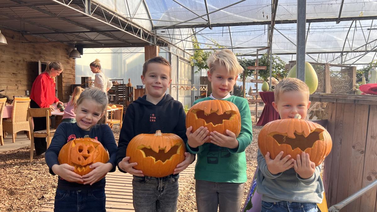 Een smiley, spook of hartje: 1000 kinderen maken in Warmenhuizen een kunstwerk van pompoen