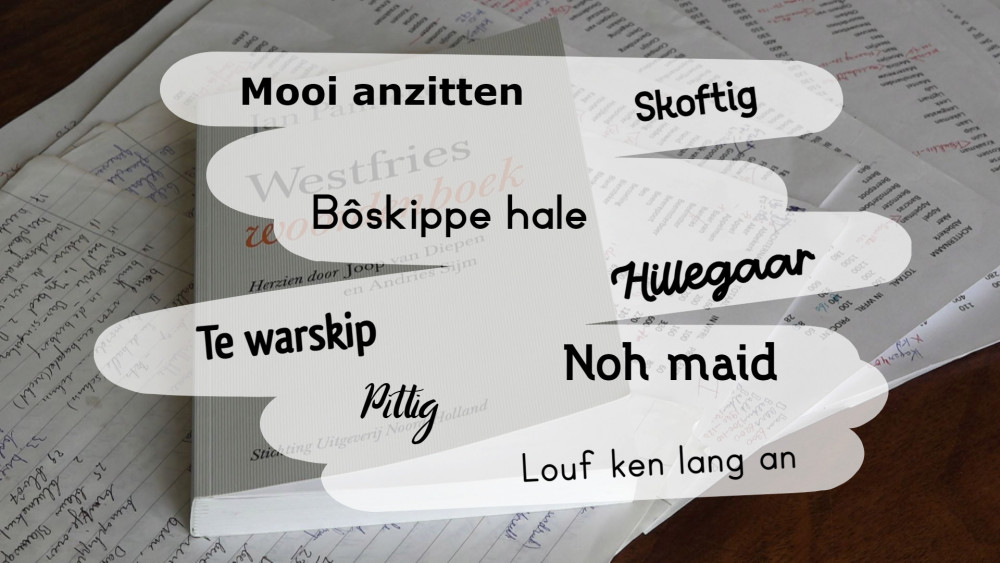 Stem mee wat is jouw favoriete Westfriese woord of gezegde? NH Nieuws