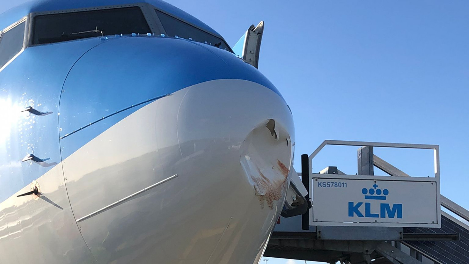 Vulgariteit bewaker Cornwall Vliegtuig van TUI terug naar Schiphol na botsing met meeuwen; schade aan  neus van toestel - NH Nieuws