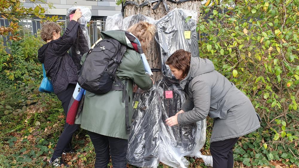 camera bad Schurend Bijna alle jassen van inzamelingsactie Volkspark weg: 'Laat de noodzaak  ervan zien' - NH Nieuws