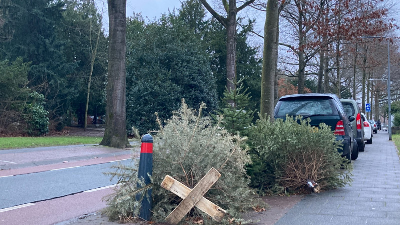 Kerstboom aan de straat in het pilotgebied