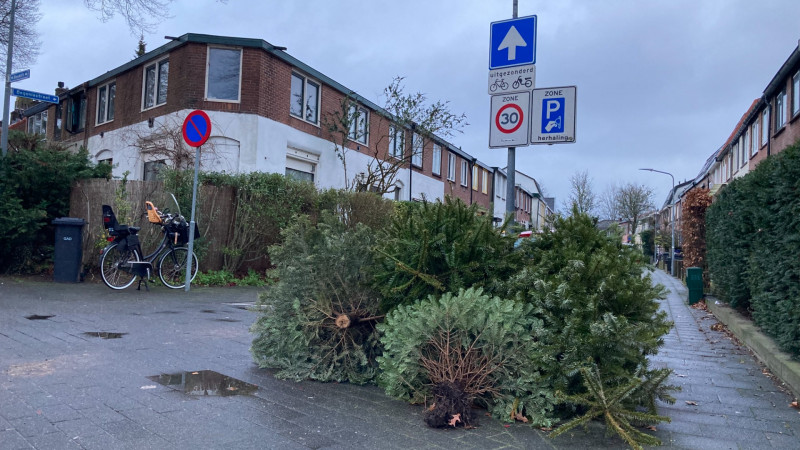 Kerstboom aan de straat in het pilotgebied