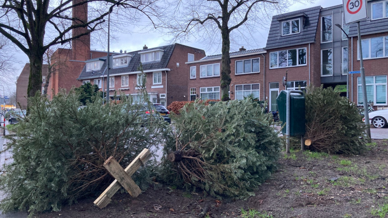 Kerstboom aan de straat in het pilotgebied