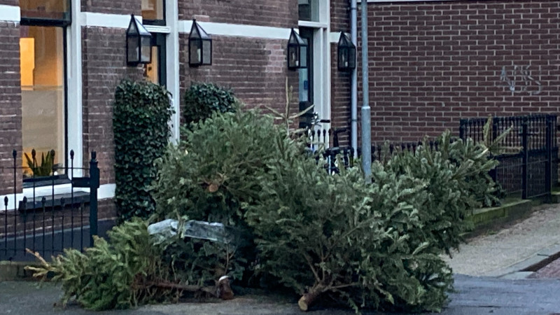 Kerstboom aan de straat in het pilotgebied