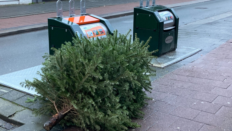 Kerstboom aan de straat in het pilotgebied