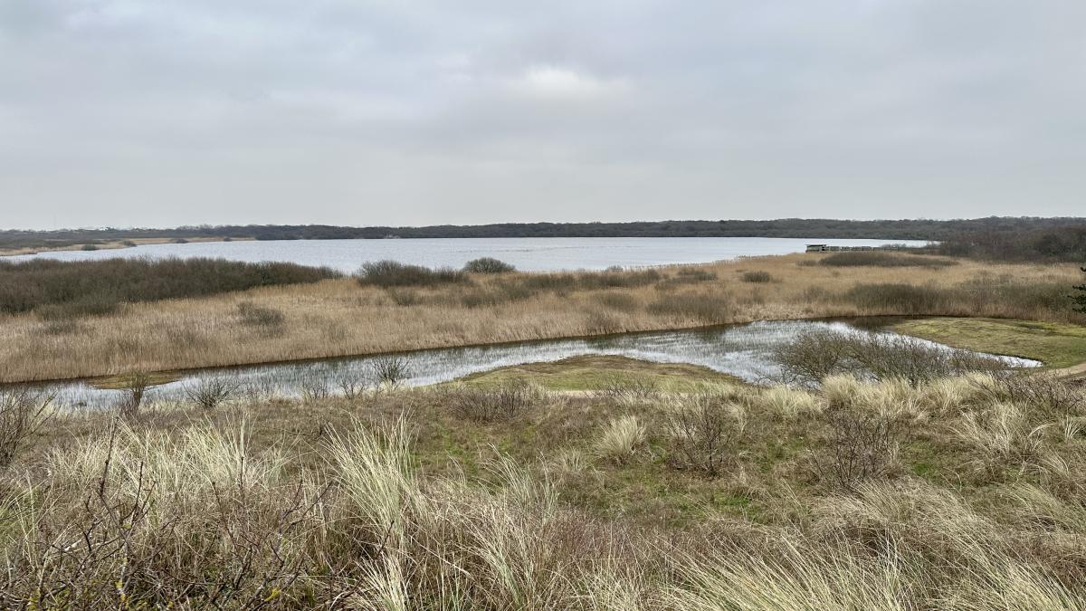 Giftig bestrijdingsmiddel gevonden in natuurgebied Zwanenwater