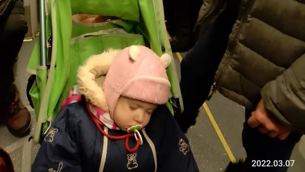 Vlade met haar kinderen in de trein