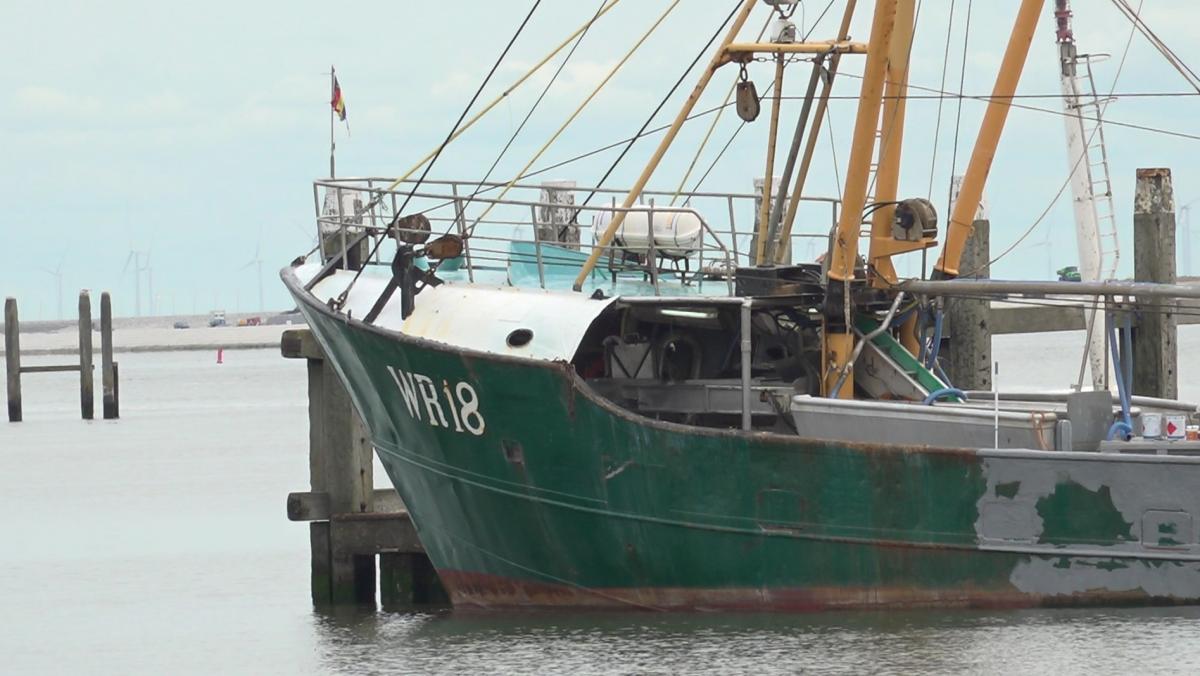 Ook Den Oever loopt leeg: familie brengt derde en laatste viskotter naar de sloop