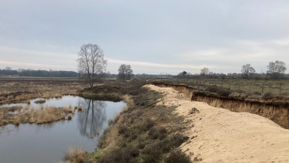 Zandafgravingen Gooi natuurparels
