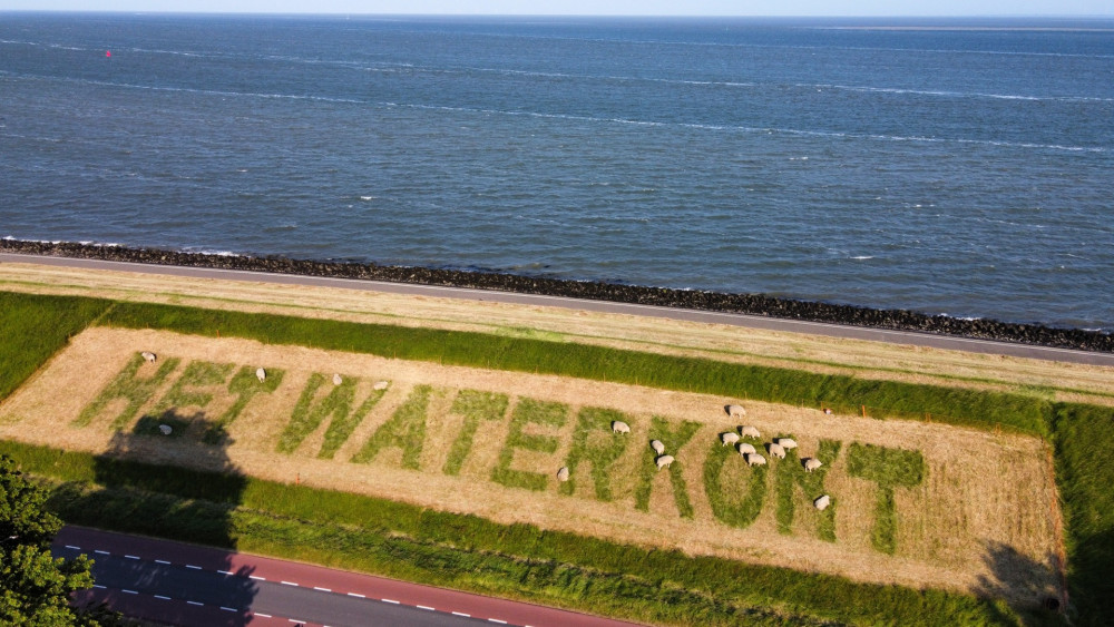 Kunstenares maakt statement met de tekst: ‘Het waterkont’, uh, ‘komt’ op dijk van Texel