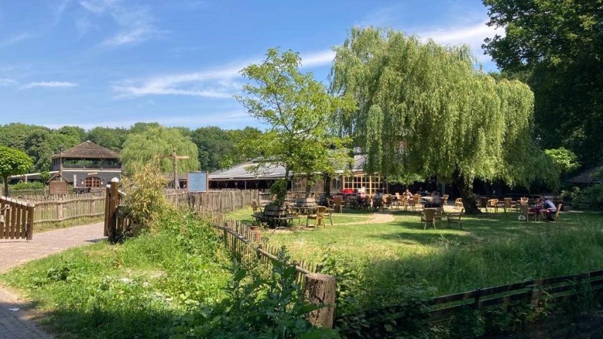 Heemskerkse Willem realiseert jongensdroom met succesvolle geitenboerderij in Amsterdamse Bos