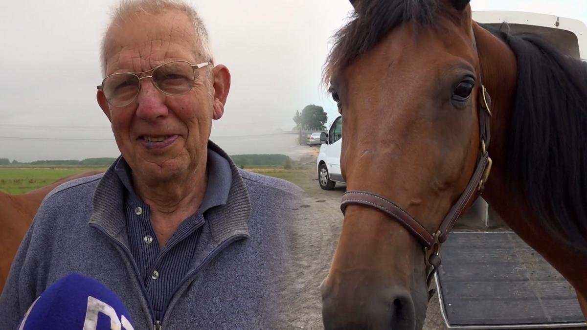 86-jarige Bert een van de grote favorieten bij harddraverij Beverwijk