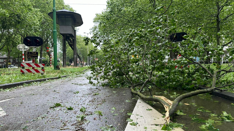 Het Amsterdamse Bos tijdens de storm Poly