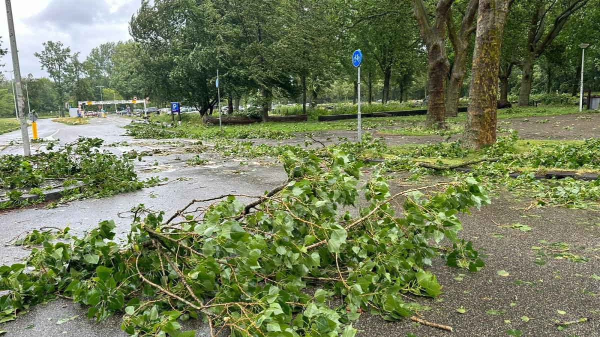 Stormcrisis in Amsterdamse Bos: 