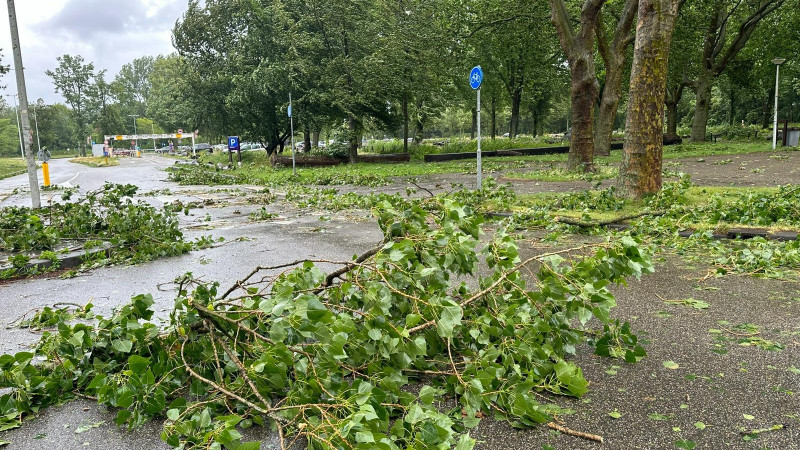 Afgewaaide takken tijdens de storm Poly in het Amsterdamse Bos